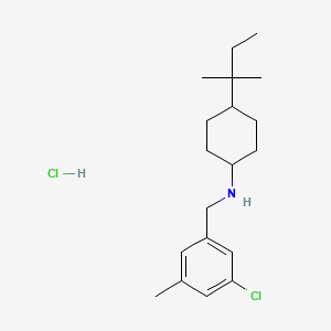 N-[(3-chloro-5-methylphenyl)methyl]-4-(2-methylbutan-2-yl)cyclohexan-1-amine hydrochloride - 